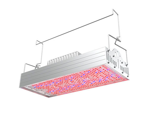 LED Grow Light