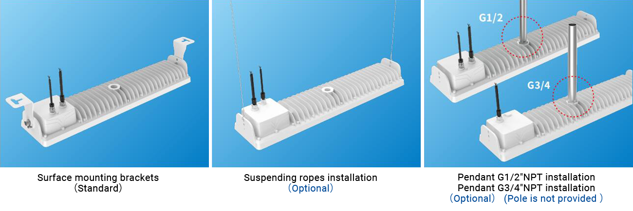 CS317 Cold-storage Highbay