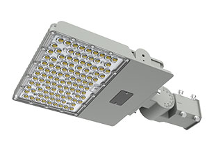 Explosion-proof & Hazardous Location Light - HL102 LED Explosion-proof street Light