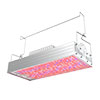 LED Grow Light