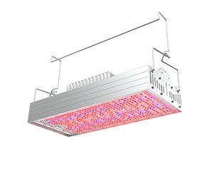 New Products - LED Grow Light